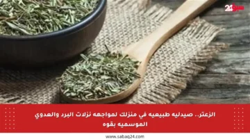 الزعتر.. صيدلية طبيعية في منزلك لمواجهة نزلات البرد والعدوى الموسمية بقوة